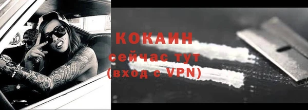 spice Белокуриха