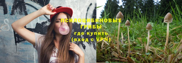 spice Белокуриха