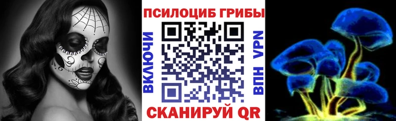 Псилоцибиновые грибы Magic Shrooms  блэк спрут ССЫЛКА  Дятьково 